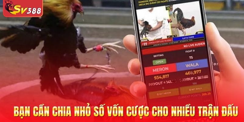 Bạn cần chia nhỏ số vốn cược cho nhiều trận đấu