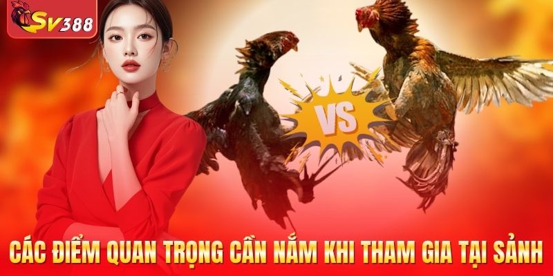 Các điểm quan trọng cần nắm khi tham gia tại sảnh