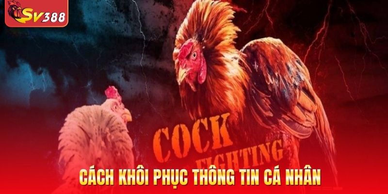 Cách khôi phục thông tin cá nhân