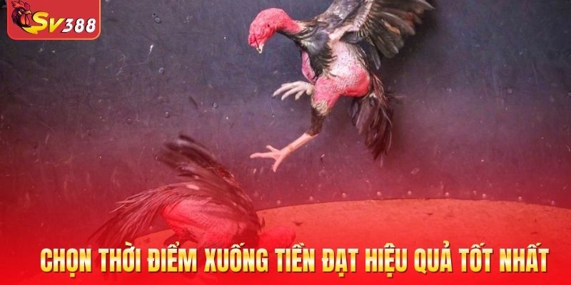 Chọn thời điểm xuống tiền đạt hiệu quả tốt nhất