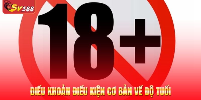 Điều khoản điều kiện - Quy định cơ bản về độ tuổi