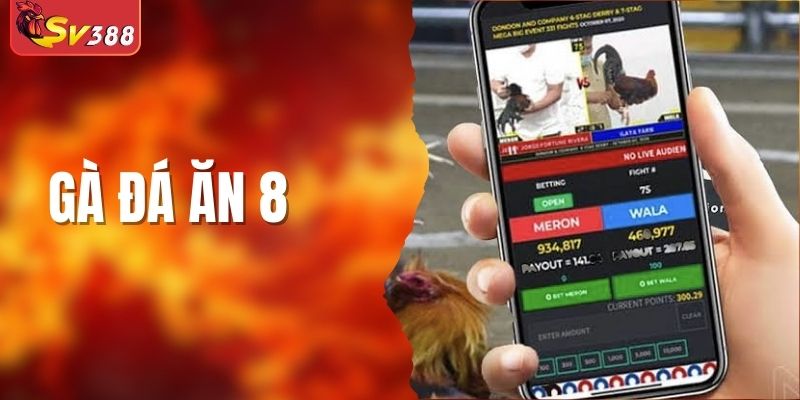 Gà Đá Ăn 8 Và Cách Chơi Luôn Thắng Đánh Bại Mọi Đối Thủ