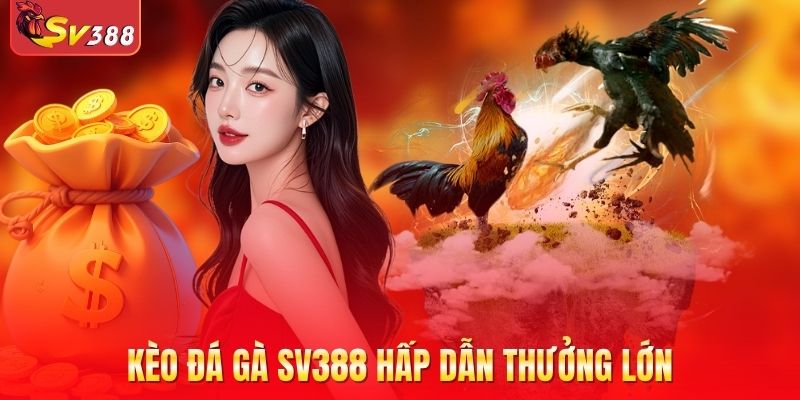 Kèo đá gà SV388 hấp dẫn thưởng lớn