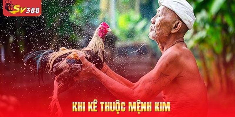 Khi kê thuộc mệnh Kim