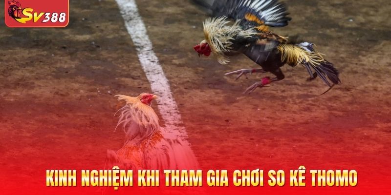 Kinh nghiệm khi tham gia chơi so kê Thomo