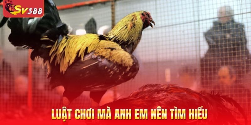 Luật chơi mà anh em nên tìm hiểu