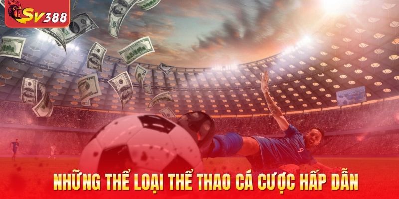 Những thể loại thể thao cá cược hấp dẫn