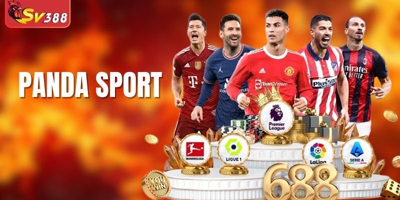 Panda Sport - Sảnh Cược Thể Thao Đẳng Cấp Tại SV388