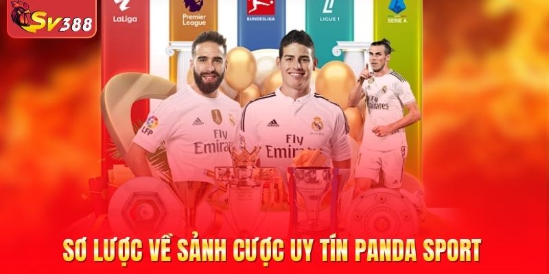 Sơ lược về sảnh cược uy tín Panda Sport