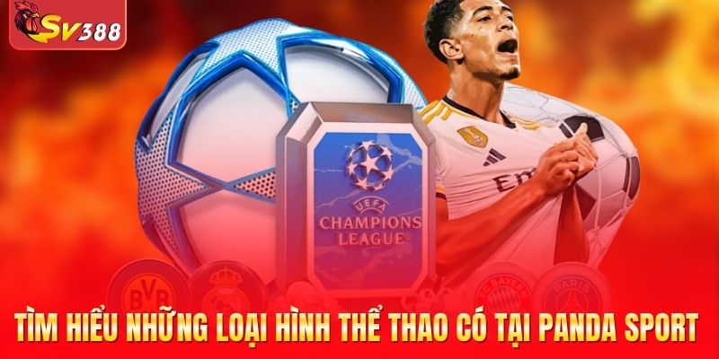 Tìm hiểu những loại hình thể thao có tại Panda Sport