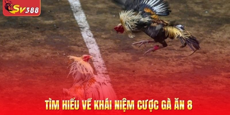 Tìm hiểu về khái niệm cược gà ăn 8