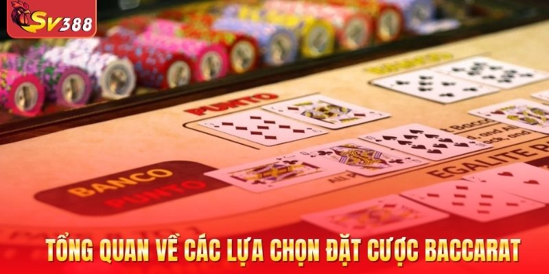 Tổng quan về các lựa chọn đặt cược Baccarat